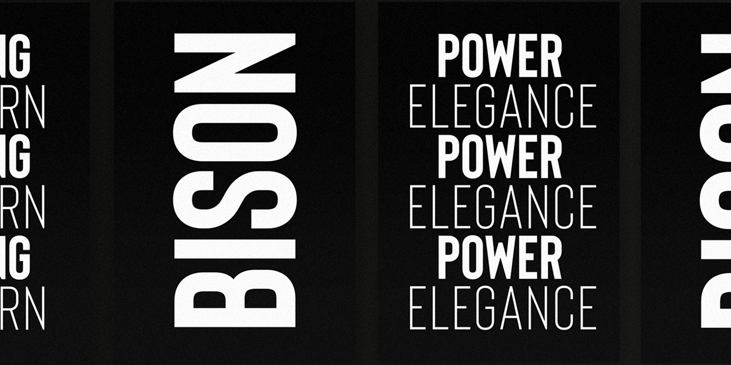 Bison Light Italic Font preview